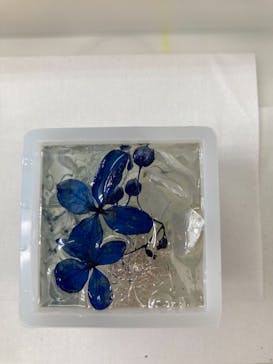 ずこうしつ〜sugamo〜に投稿された画像（2021/7/26）