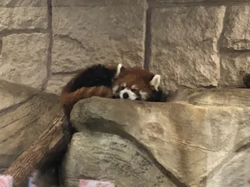 天王寺動物園に投稿された画像（2021/7/26）