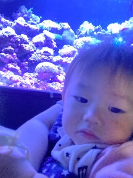 マクセル アクアパーク品川に投稿された画像（2021/7/26）