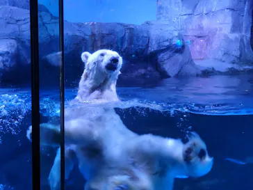 横浜・八景島シーパラダイスに投稿された画像（2021/7/26）