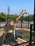 旭川市旭山動物園に投稿された画像（2021/7/26）
