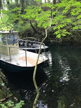 グリランド株式会社に投稿された画像（2021/7/26）