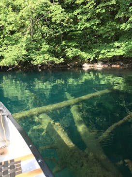 グリランド株式会社に投稿された画像（2021/7/26）