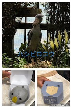 神戸どうぶつ王国に投稿された画像（2021/7/26）