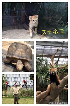 神戸どうぶつ王国に投稿された画像（2021/7/26）