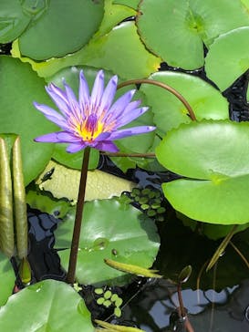 神戸どうぶつ王国に投稿された画像（2021/7/26）