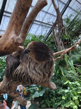 神戸どうぶつ王国に投稿された画像（2021/7/26）