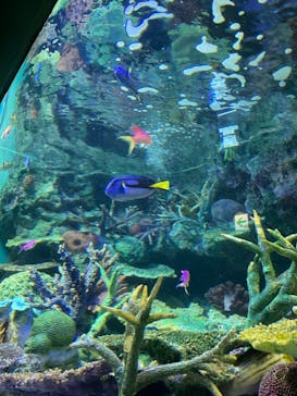 サンシャイン水族館に投稿された画像（2021/7/26）