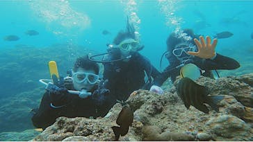 MalDive（モルダイブ）に投稿された画像（2021/7/26）