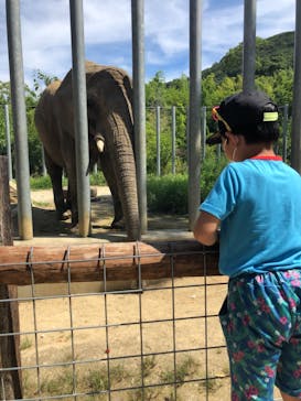 しろとり動物園に投稿された画像（2021/7/26）