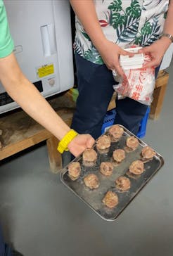 サンシャイン水族館に投稿された画像（2021/7/26）