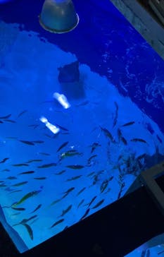 サンシャイン水族館に投稿された画像（2021/7/26）