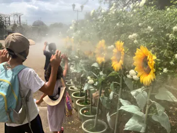 ひらかたパークに投稿された画像（2021/7/26）