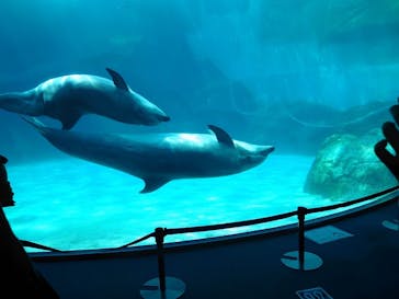 名古屋港水族館に投稿された画像（2021/7/26）