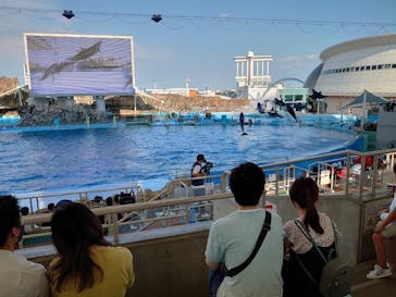 名古屋港水族館に投稿された画像（2021/7/26）