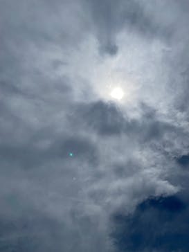 蓮沼ウォーターガーデンに投稿された画像（2021/7/26）