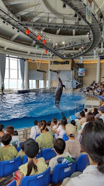 アクアワールド茨城県大洗水族館に投稿された画像（2021/7/26）