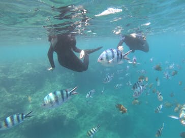 MalDive（モルダイブ）に投稿された画像（2021/7/26）