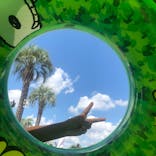 よみうりランド 遊園地に投稿された画像（2021/7/26）