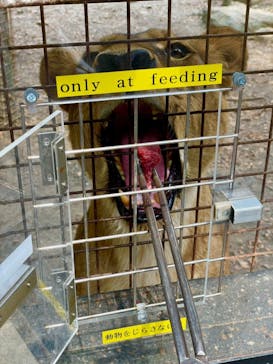 群馬サファリパークに投稿された画像（2021/7/26）