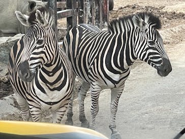 群馬サファリパークに投稿された画像（2021/7/26）