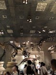 国立科学博物館に投稿された画像（2021/7/26）