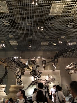 国立科学博物館に投稿された画像（2021/7/26）
