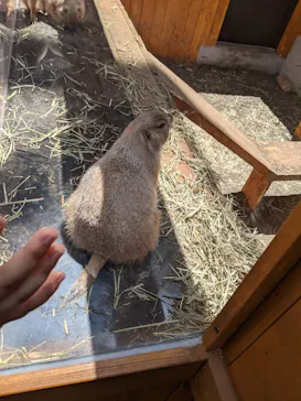 横浜・八景島シーパラダイスに投稿された画像（2021/7/26）