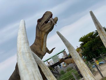 伊豆ぐらんぱる公園に投稿された画像（2021/7/27）