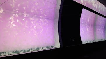 アクアワールド茨城県大洗水族館に投稿された画像（2021/7/27）