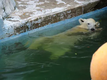 天王寺動物園に投稿された画像（2021/7/27）