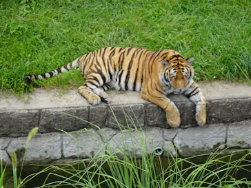 天王寺動物園に投稿された画像（2021/7/27）
