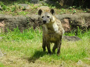 天王寺動物園に投稿された画像（2021/7/27）