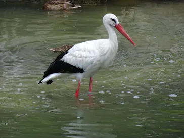 天王寺動物園に投稿された画像（2021/7/27）
