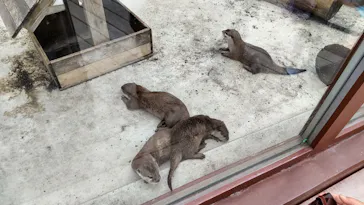 横浜・八景島シーパラダイスに投稿された画像（2021/7/27）