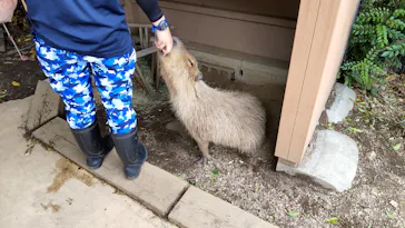 横浜・八景島シーパラダイスに投稿された画像（2021/7/27）