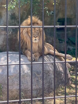 旭川市旭山動物園に投稿された画像（2021/7/27）