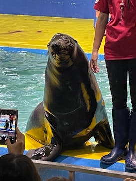 ゼロ距離水族館 伊勢シーパラダイスに投稿された画像（2021/7/27）