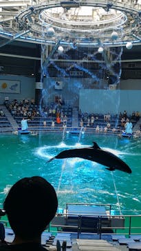 マクセル アクアパーク品川に投稿された画像（2021/7/27）