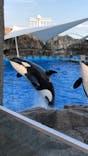 名古屋港水族館に投稿された画像（2021/7/27）