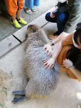 横浜・八景島シーパラダイスに投稿された画像（2021/7/27）