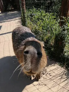 横浜・八景島シーパラダイスに投稿された画像（2021/7/27）