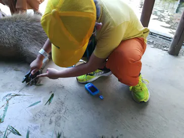 横浜・八景島シーパラダイスに投稿された画像（2021/7/27）