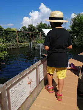 横浜・八景島シーパラダイスに投稿された画像（2021/7/27）