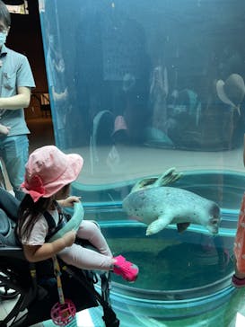 旭川市旭山動物園に投稿された画像（2021/7/27）