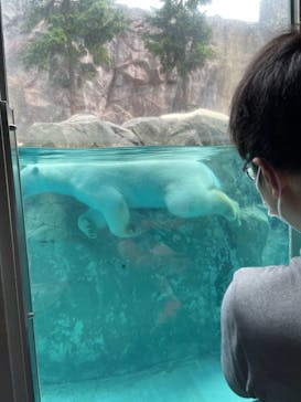 旭川市旭山動物園に投稿された画像（2021/7/27）