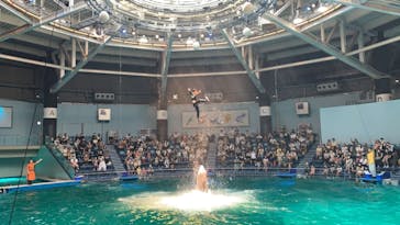 マクセル アクアパーク品川に投稿された画像（2021/7/27）