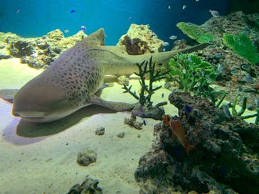 マクセル アクアパーク品川に投稿された画像（2021/7/27）