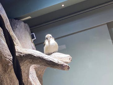 カワスイ 川崎⽔族館に投稿された画像（2021/7/27）