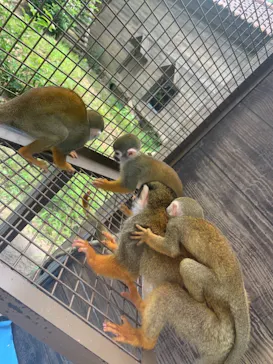 ひらかたパークに投稿された画像（2021/7/27）